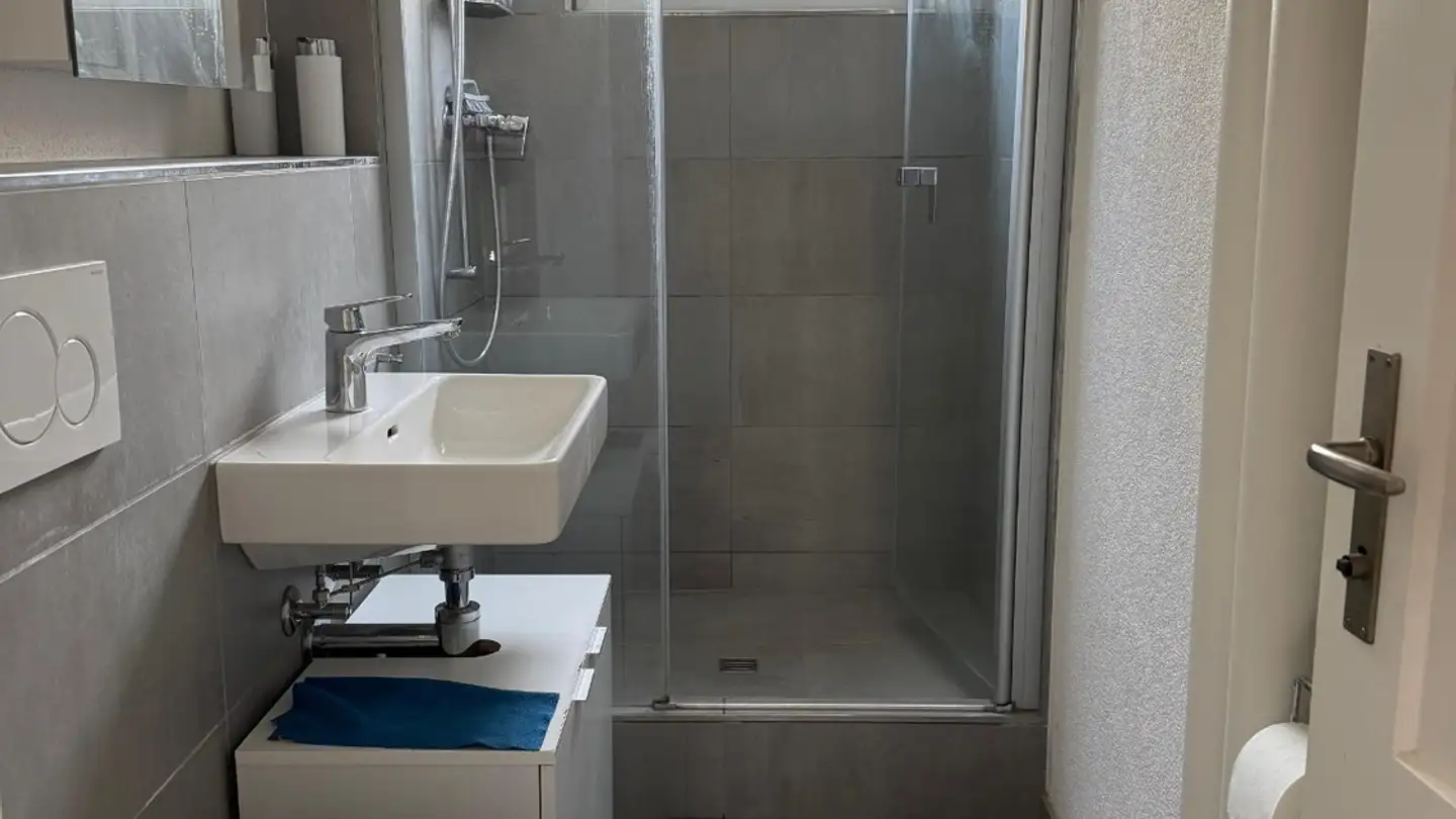 Apartment for rent - Fellenbergstrasse 227, 8047 Zürich - Photo 4