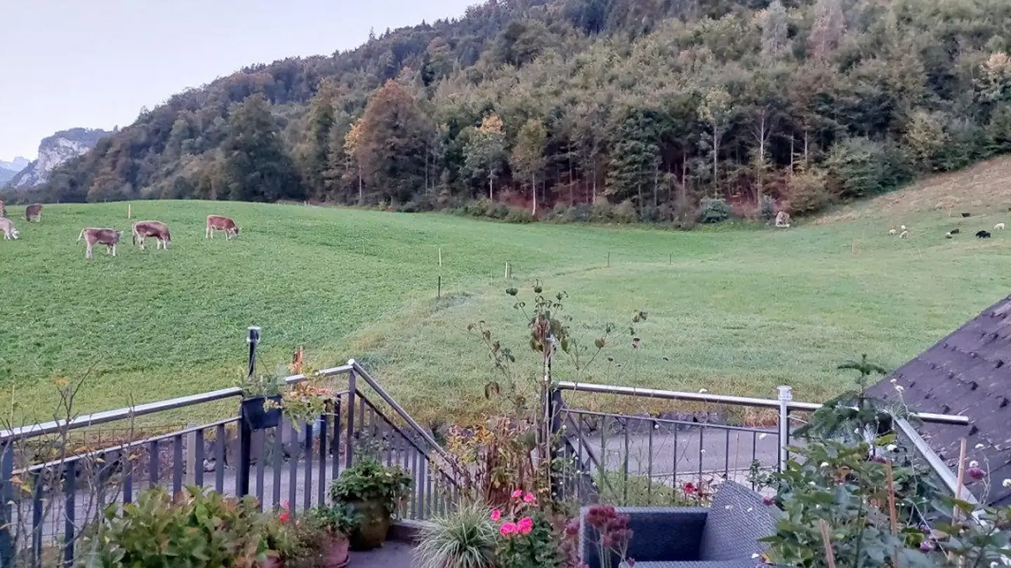 Apartment for rent - Dallenwilerstrasse 2, 6370 Oberdorf NW - Photo 4