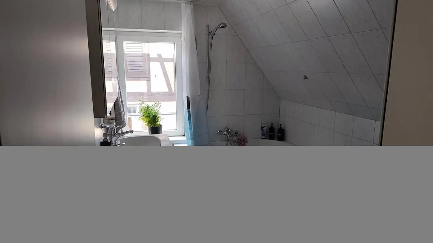 Appartamento in affitto - 6410 Goldau - Foto 4