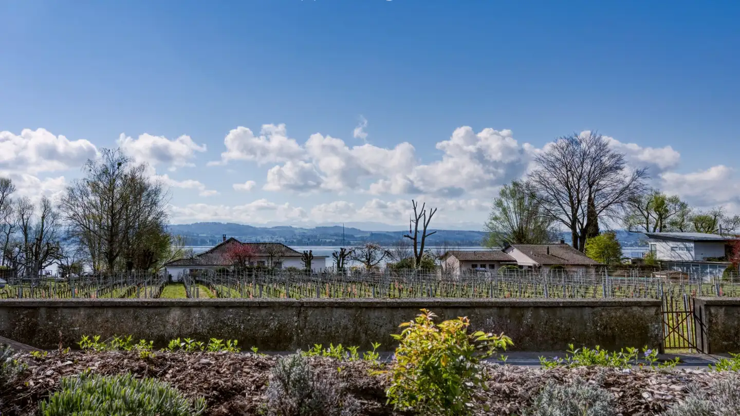 Appartamento in affitto - Chemin De Paverez 10, 1787 Môtier (Vully) - Foto 4