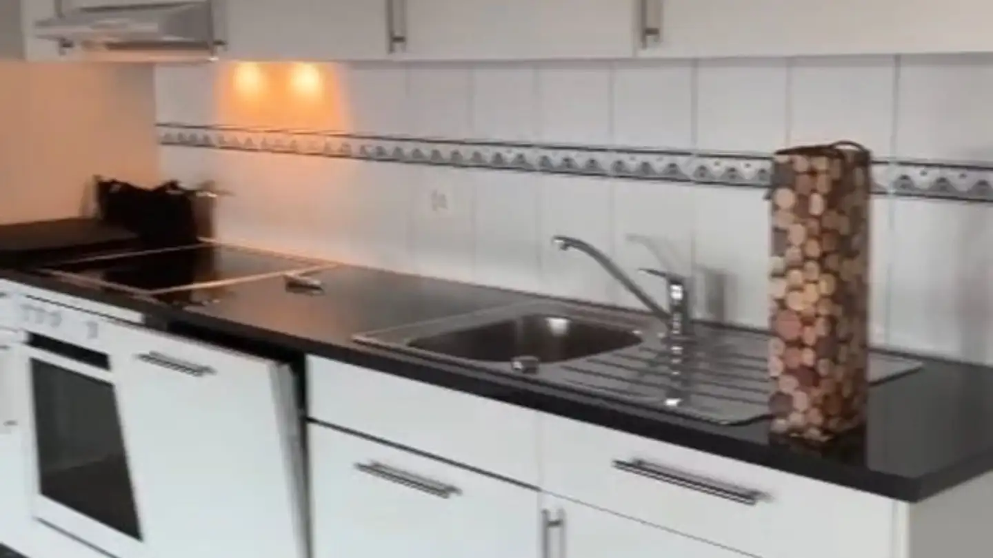 Appartement à louer - Unterwerkstrasse 19, 8052 Zürich - Photo 3