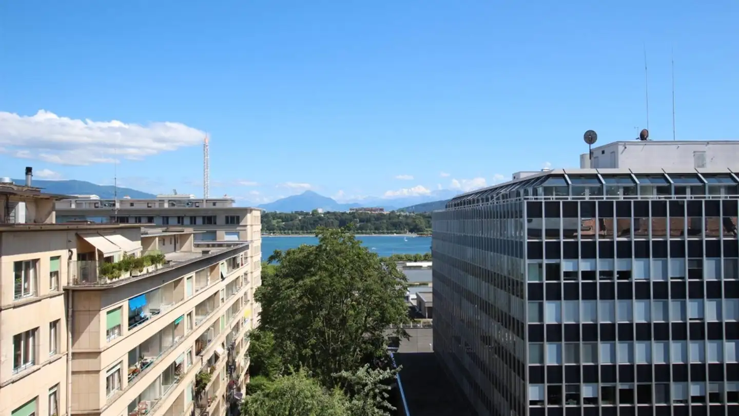 Möblierte Wohnung mieten - Rue De Lausanne 83, 1202 Genève - Foto 4