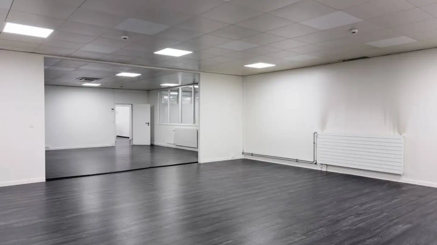 Commerciale in affitto - Rue Des Sablières 5, 1242 Satigny - Foto 2