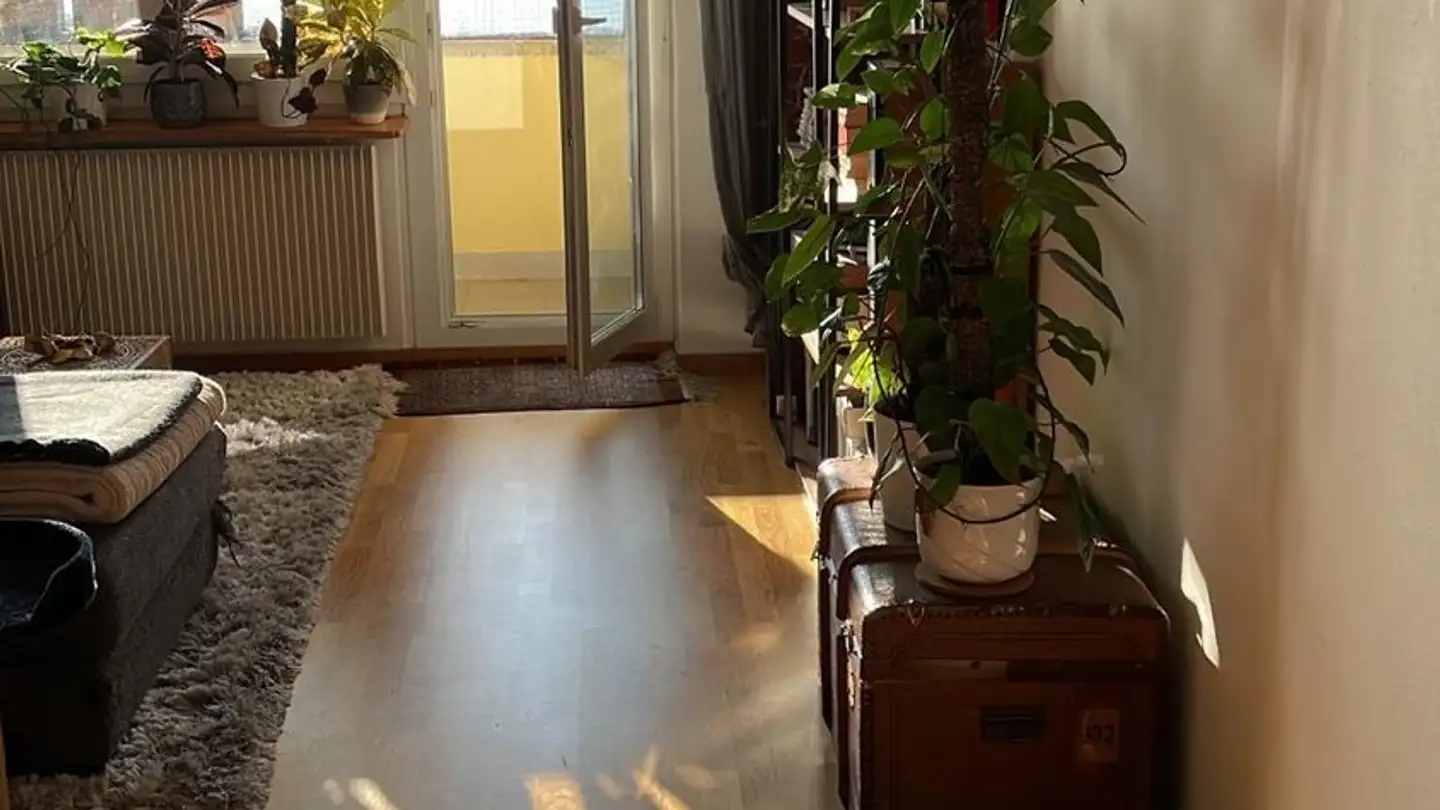 Appartement meublé à louer - Rigistrasse 50, 8006 Zürich