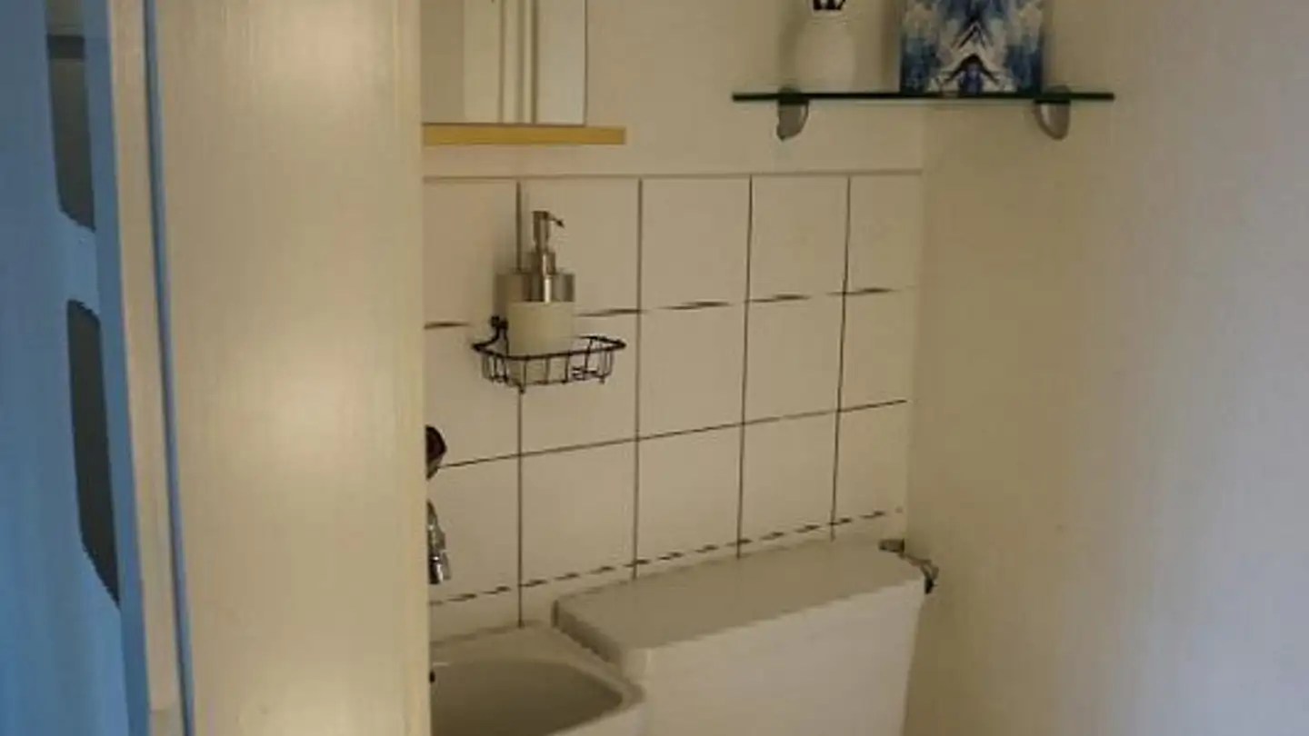 Appartamento in affitto - Lindenhof 1, 8604 Volketswil - Photo 3