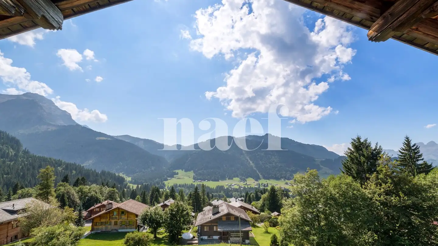 Chalet kaufen - 1865 Les Diablerets - Foto 3