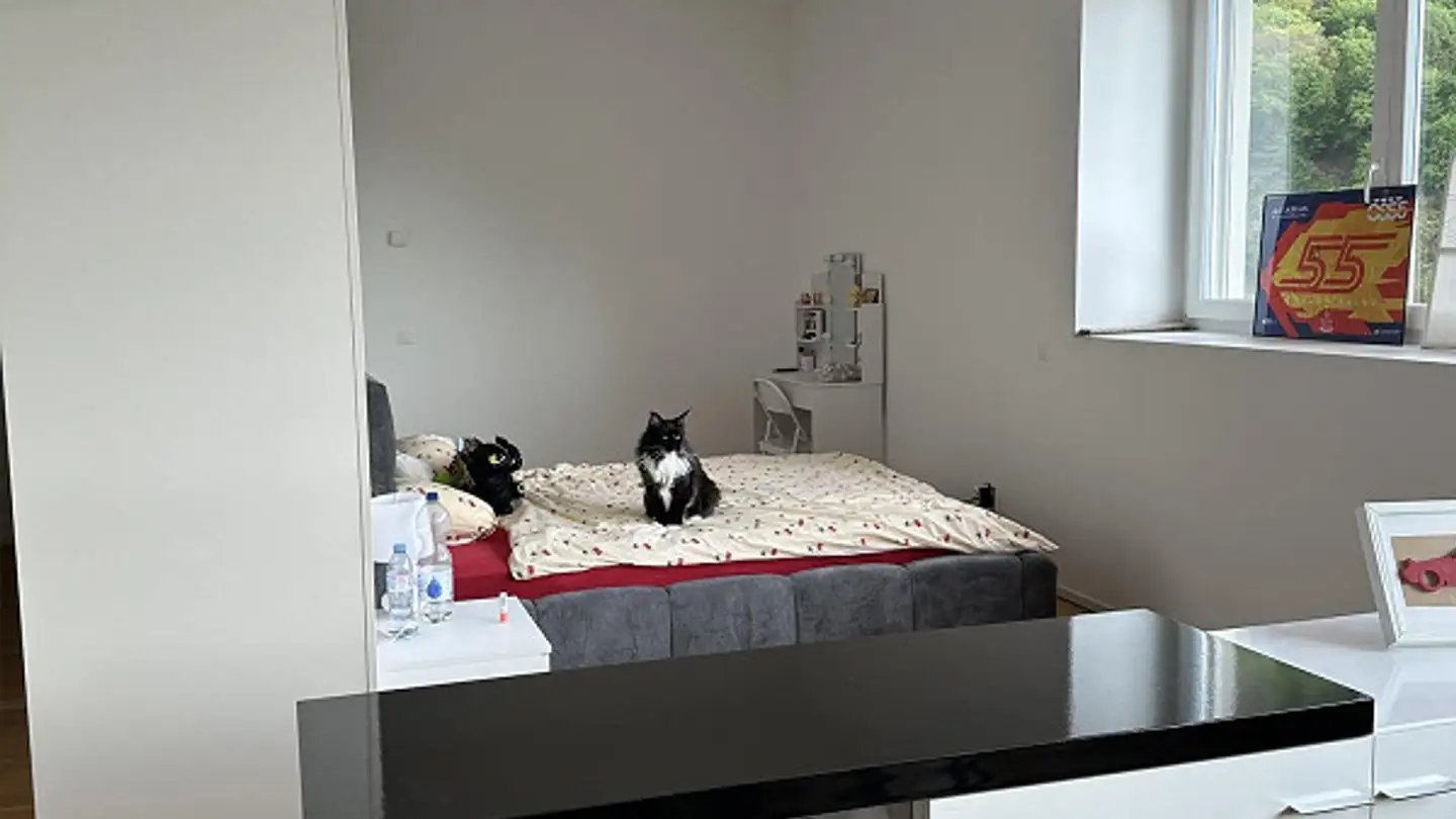 Loft à louer - Via Del Carmagnola 36a, 6517 Arbedo - Photo 4