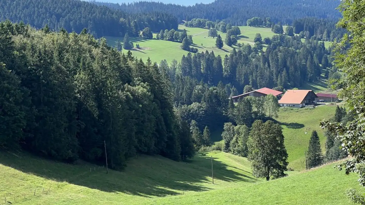 Villa for sale - Chez Bénet, 2116 Mont-de-Buttes