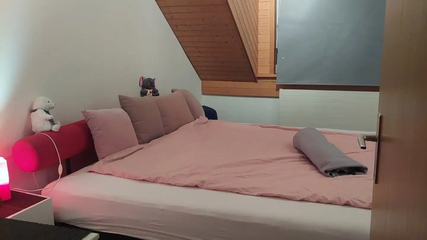 Apartment for rent - 8486 Rikon im Tösstal - Photo 4