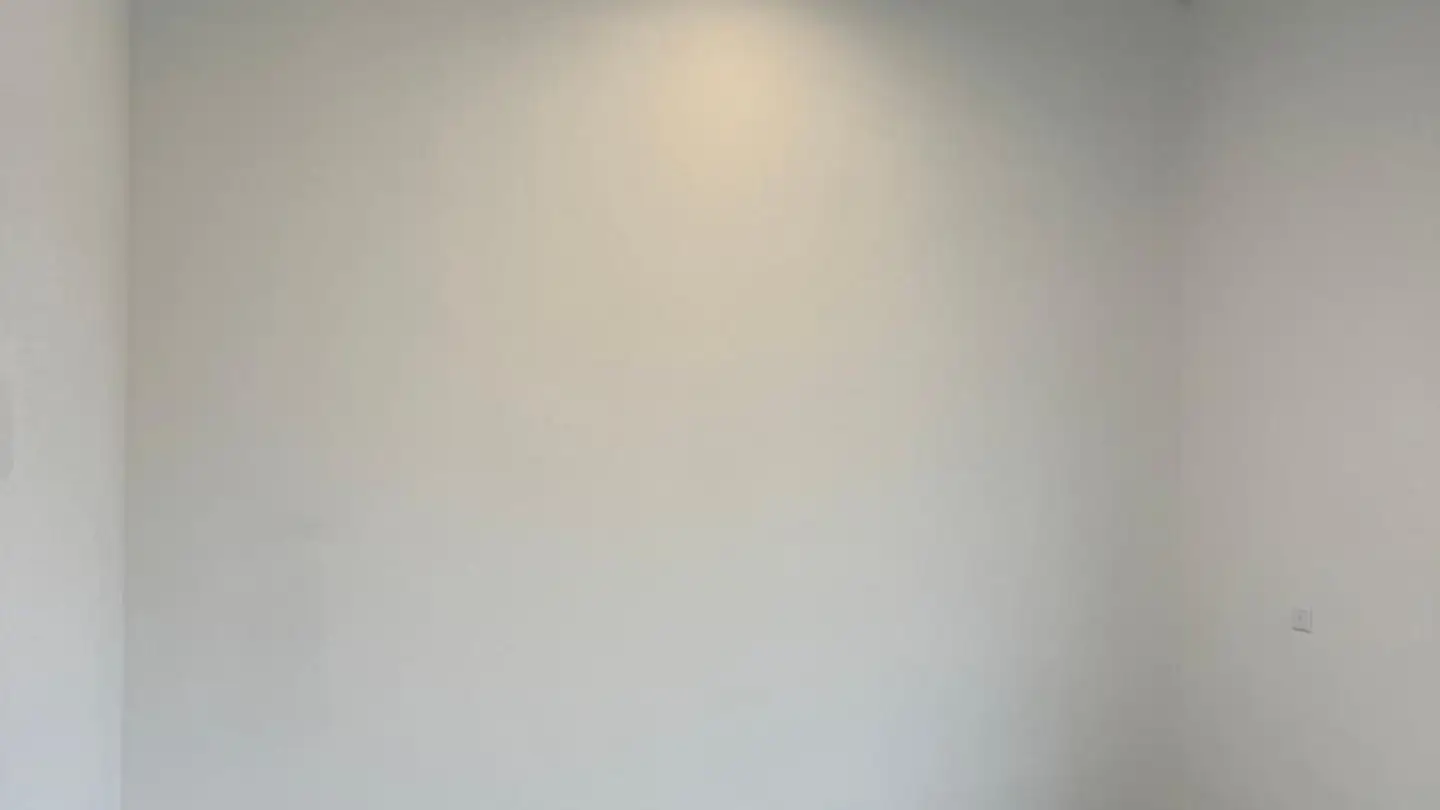 Gewerbe mieten - Route Industrielle 41, 1897 Bouveret - Foto 4