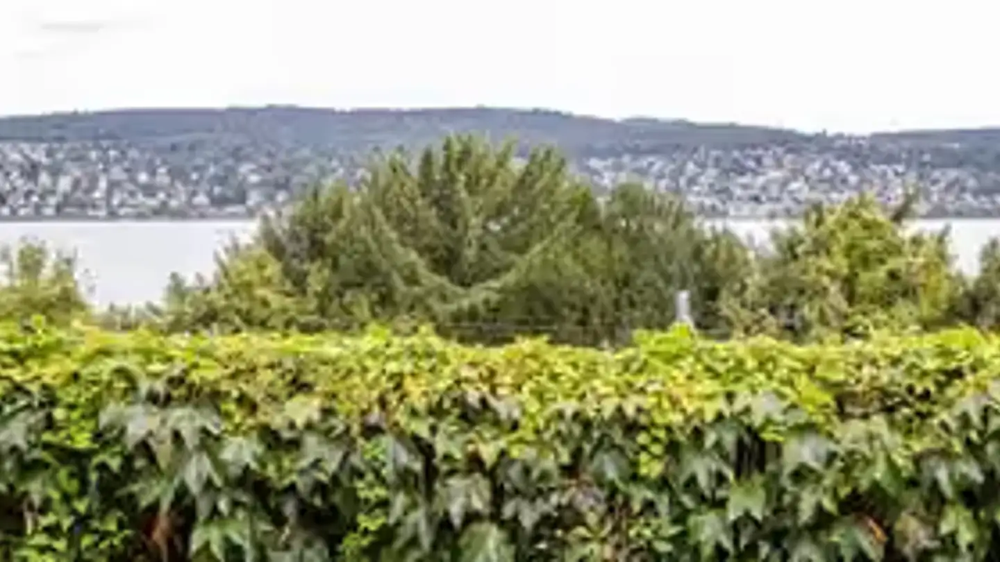 Apartment for sale - 8802 Kilchberg ZH