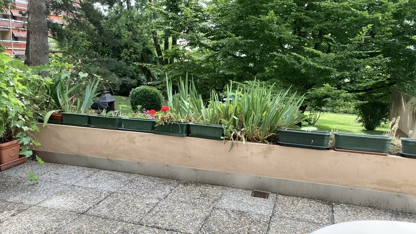 Stanza singola in affitto - 1260 Nyon - Photo 3