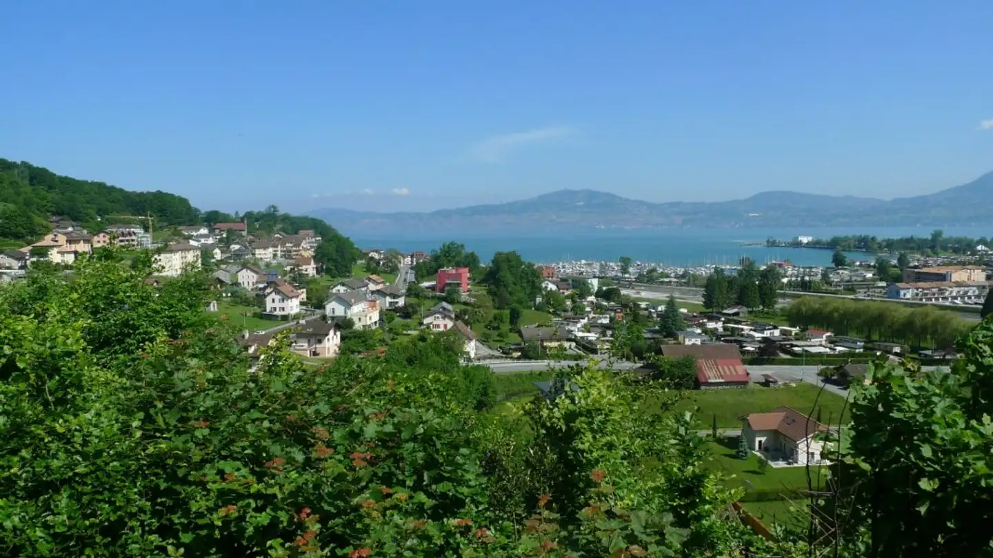 Single house for sale - 1897 Bouveret - Photo 2