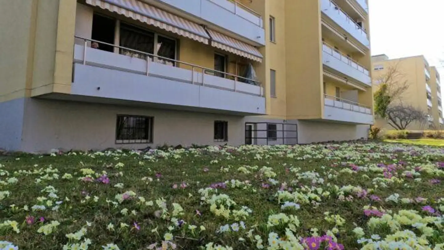 Appartamento in affitto - Leimenstrasse, 2540 Grenchen