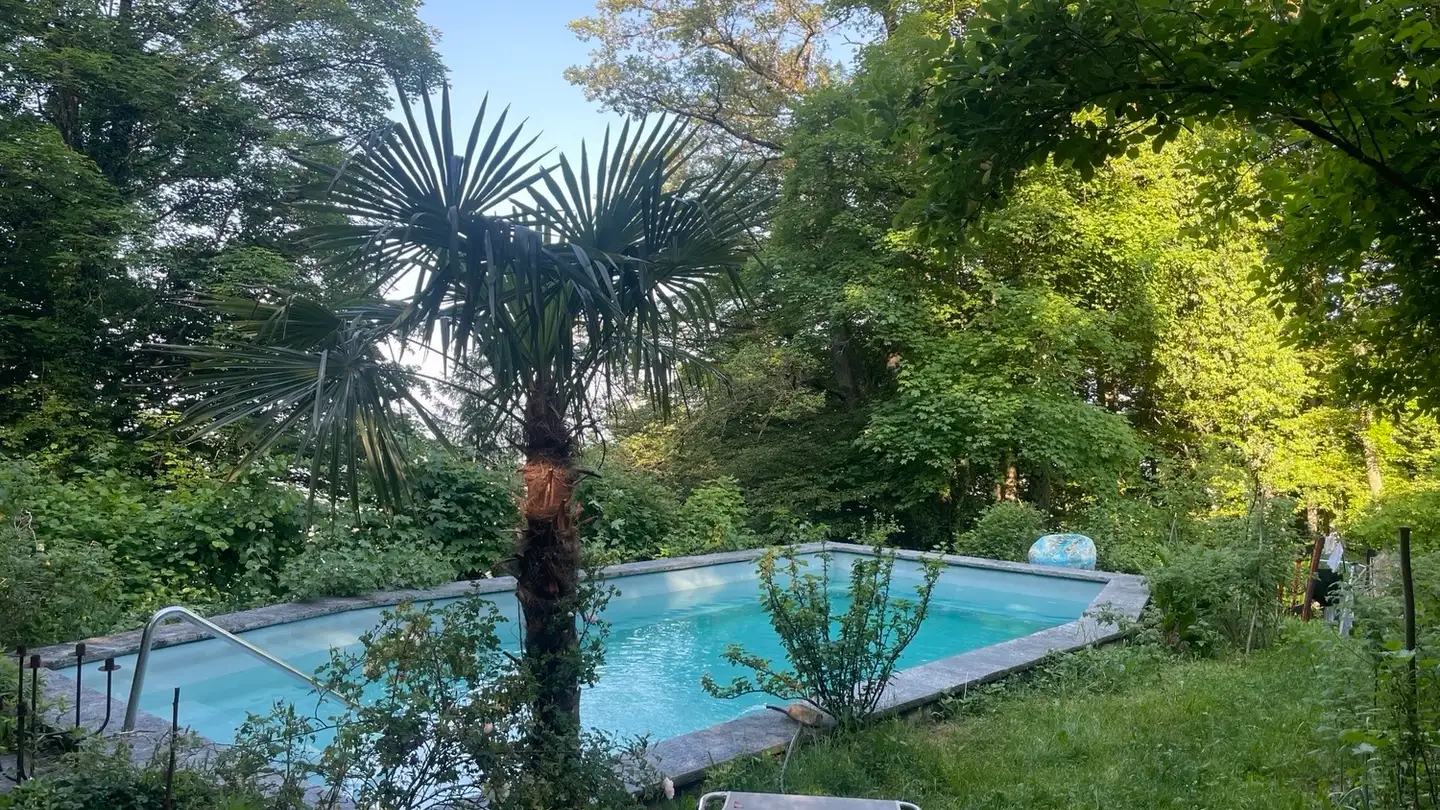 Appartamento ammobiliato in affitto - 8143 Uetliberg