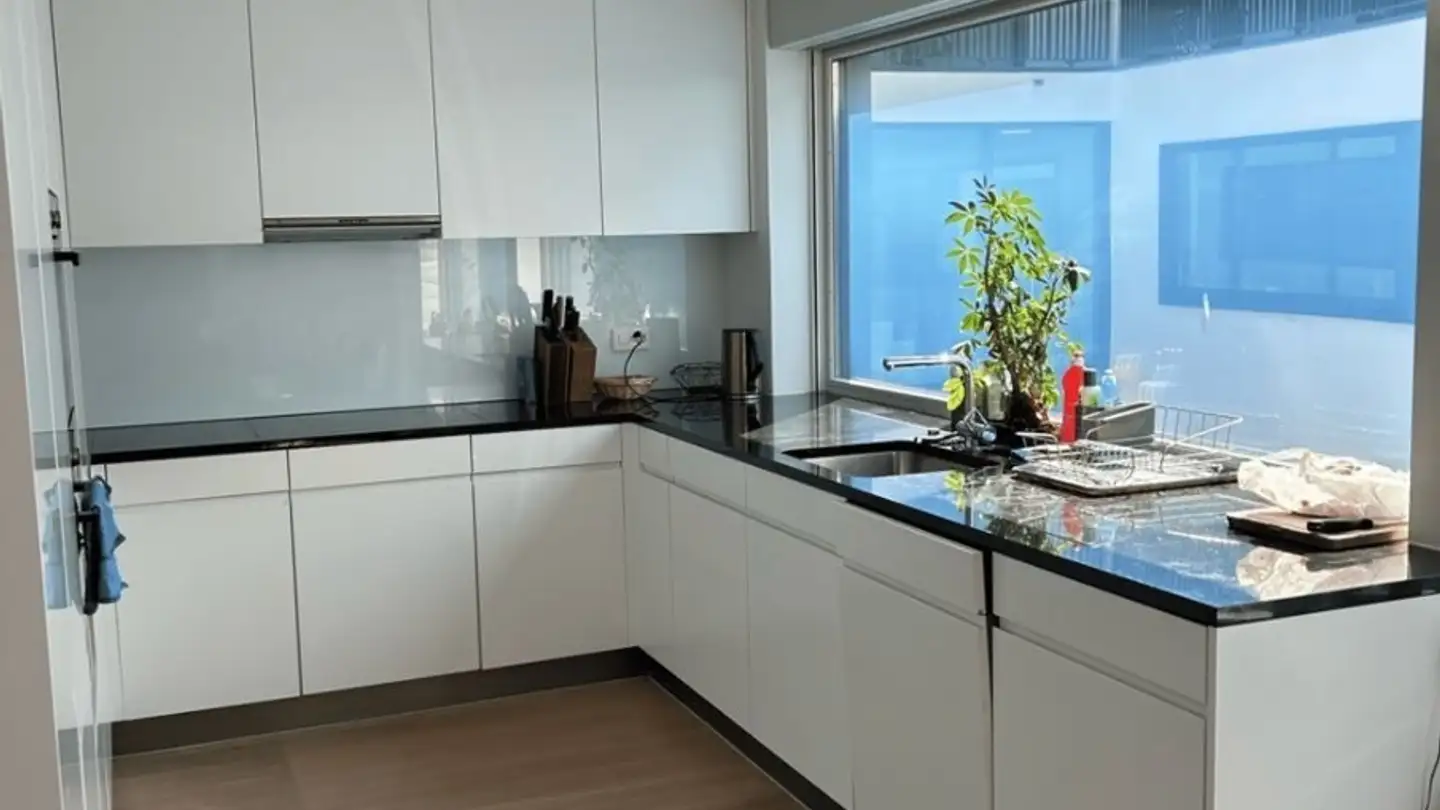 Chambre à louer - Förrlibuckstrasse 183, 8005 Zürich - Photo 2