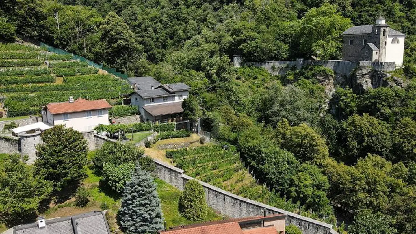 Proprietà industriale in affitto - 6514 Sementina - Foto 3