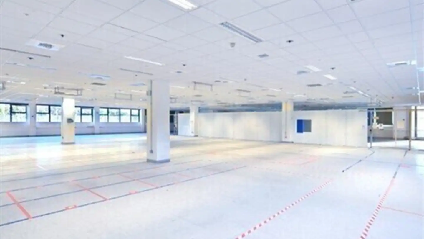 Office space for rent - 6934 Bioggio