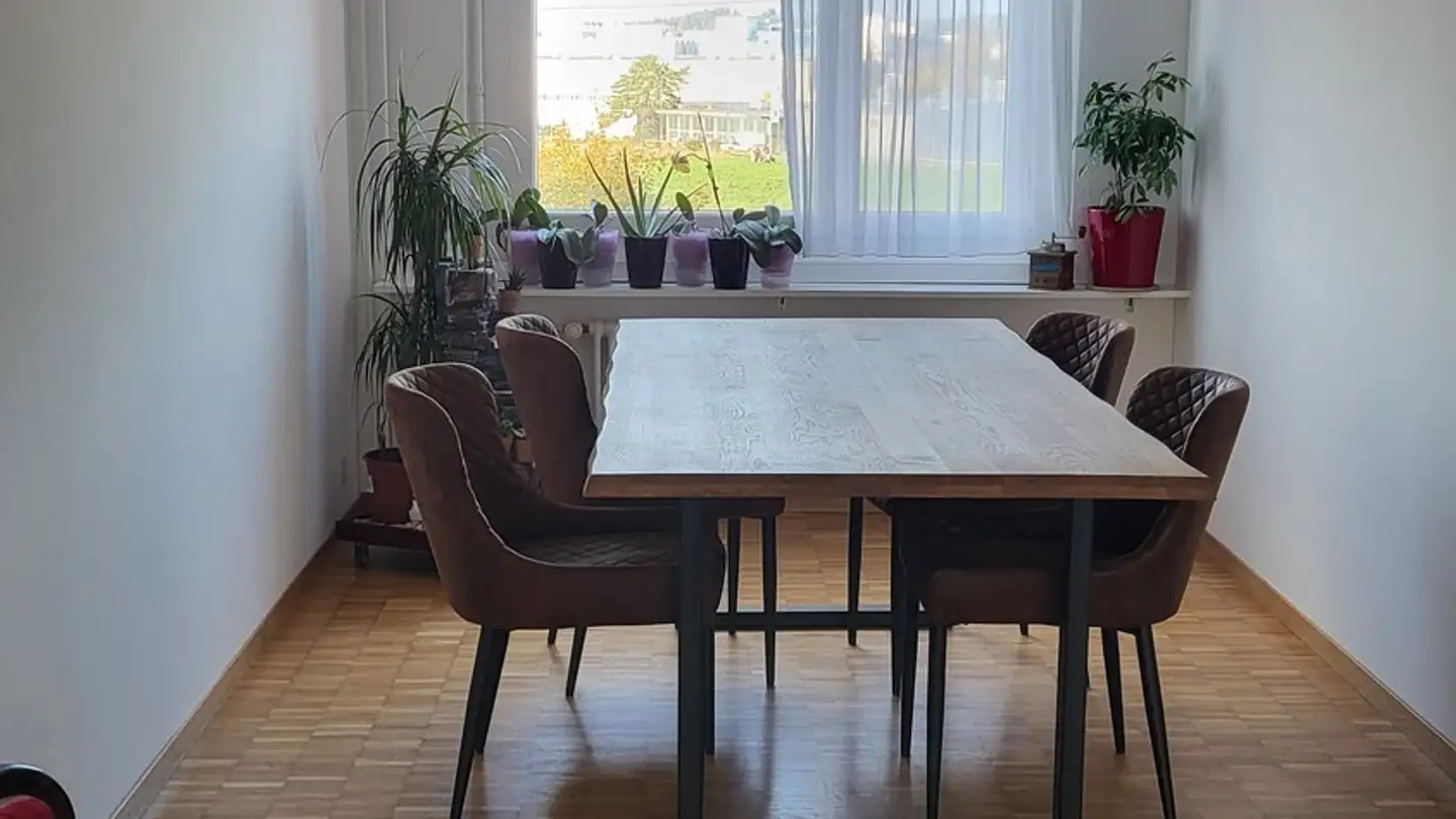 Stanza singola in affitto - 8606 Greifensee