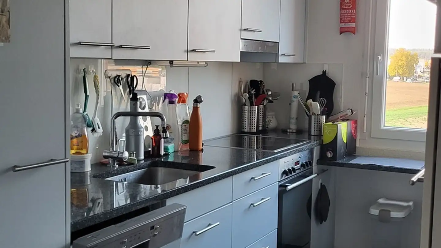 Stanza singola in affitto - 8606 Greifensee - Foto 3