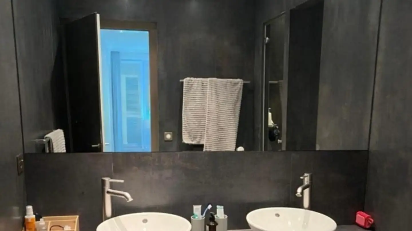 Wohnung mieten - Route de Florissant, 1206 Genève - Foto 3