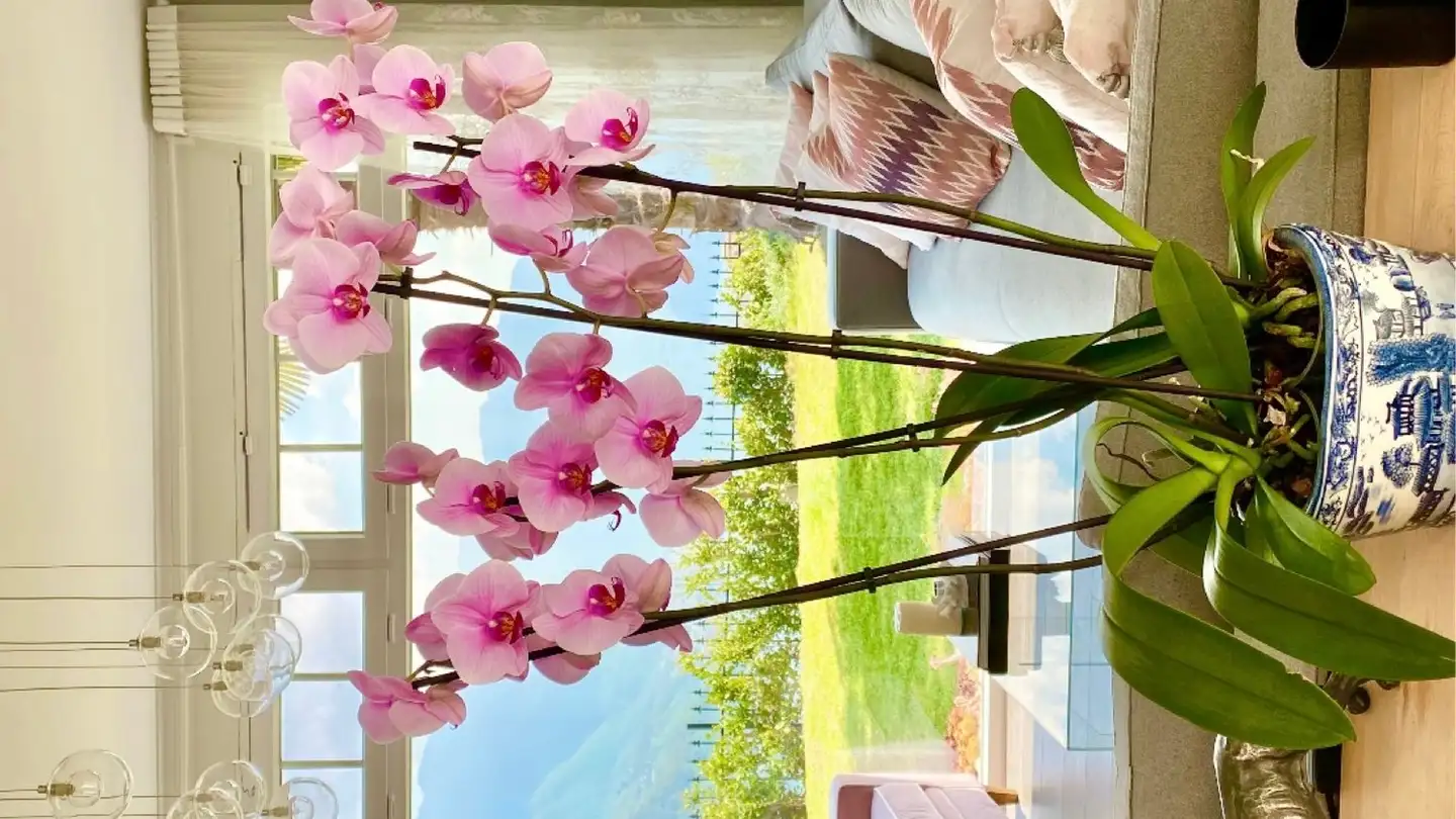 Single house for rent - 6914 Carona - Photo 2