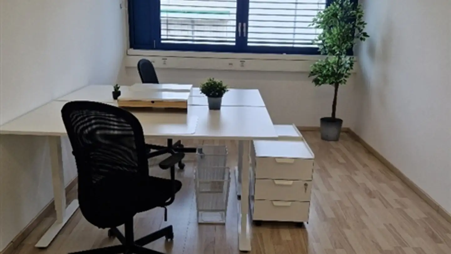Office space for rent - Chemin Grenet, 1214 Vernier