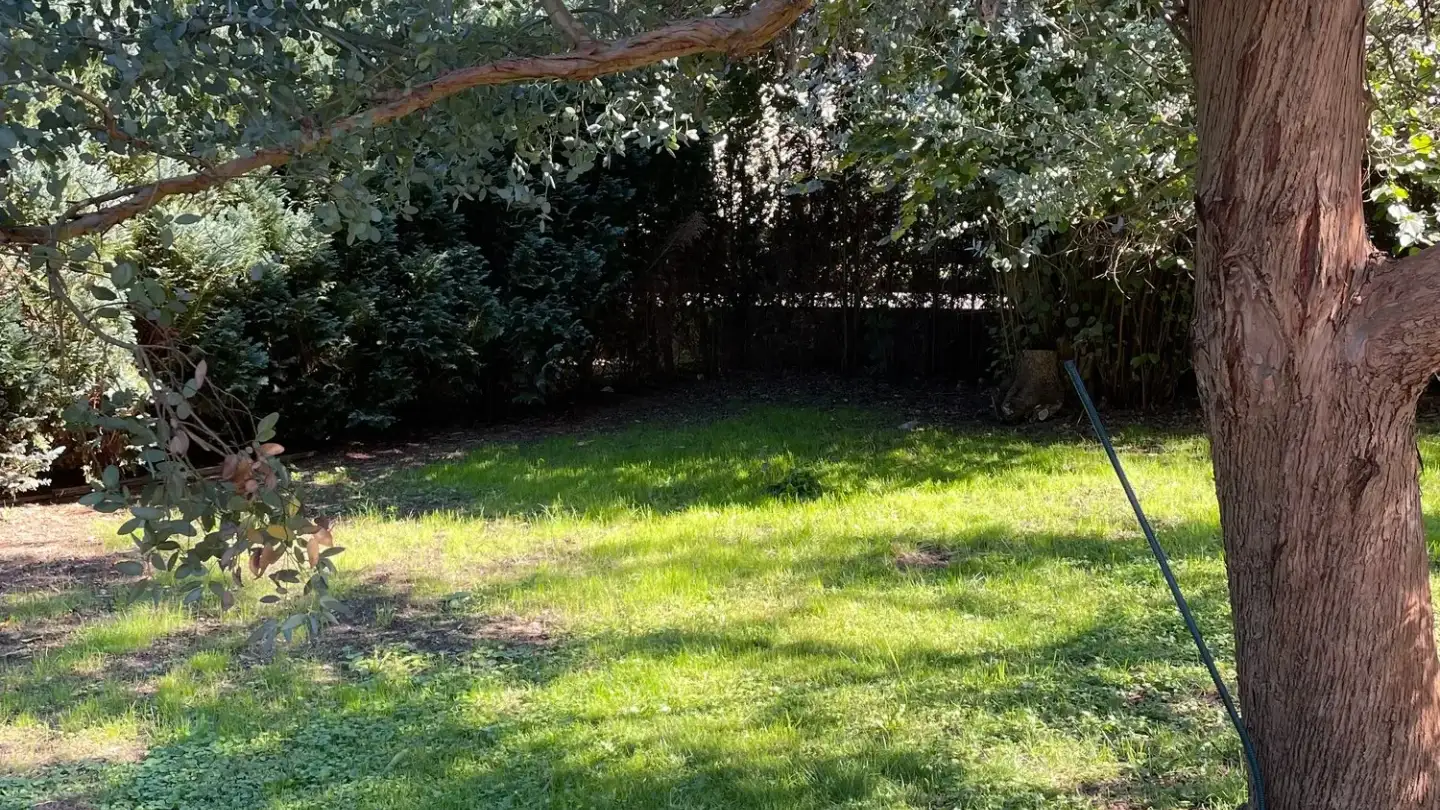 Single house for rent - Bündtenstrasse 13, 5612 Villmergen - Photo 3