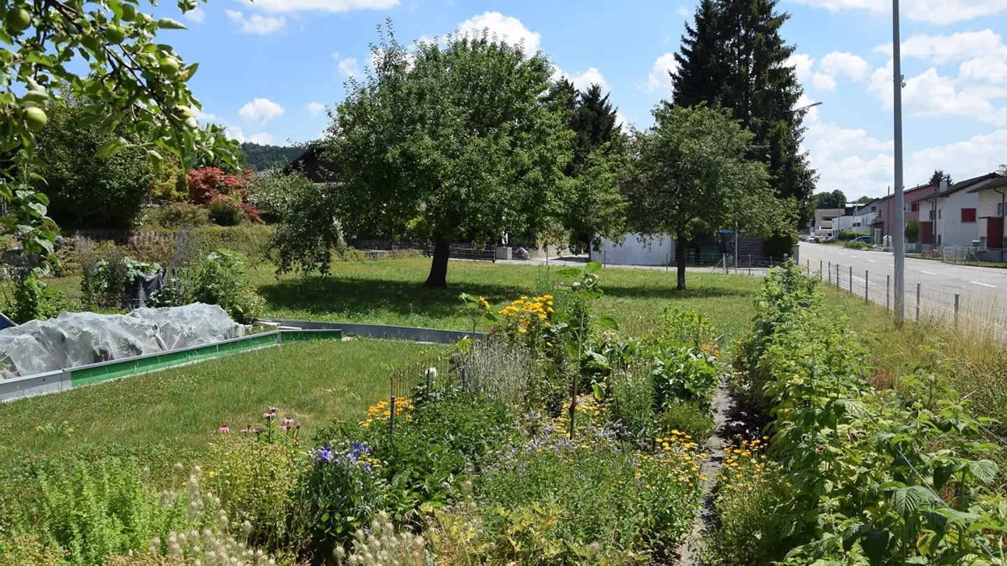 Terrain constructible à vendre - 8357 Guntershausen b. Aadorf - Photo 4