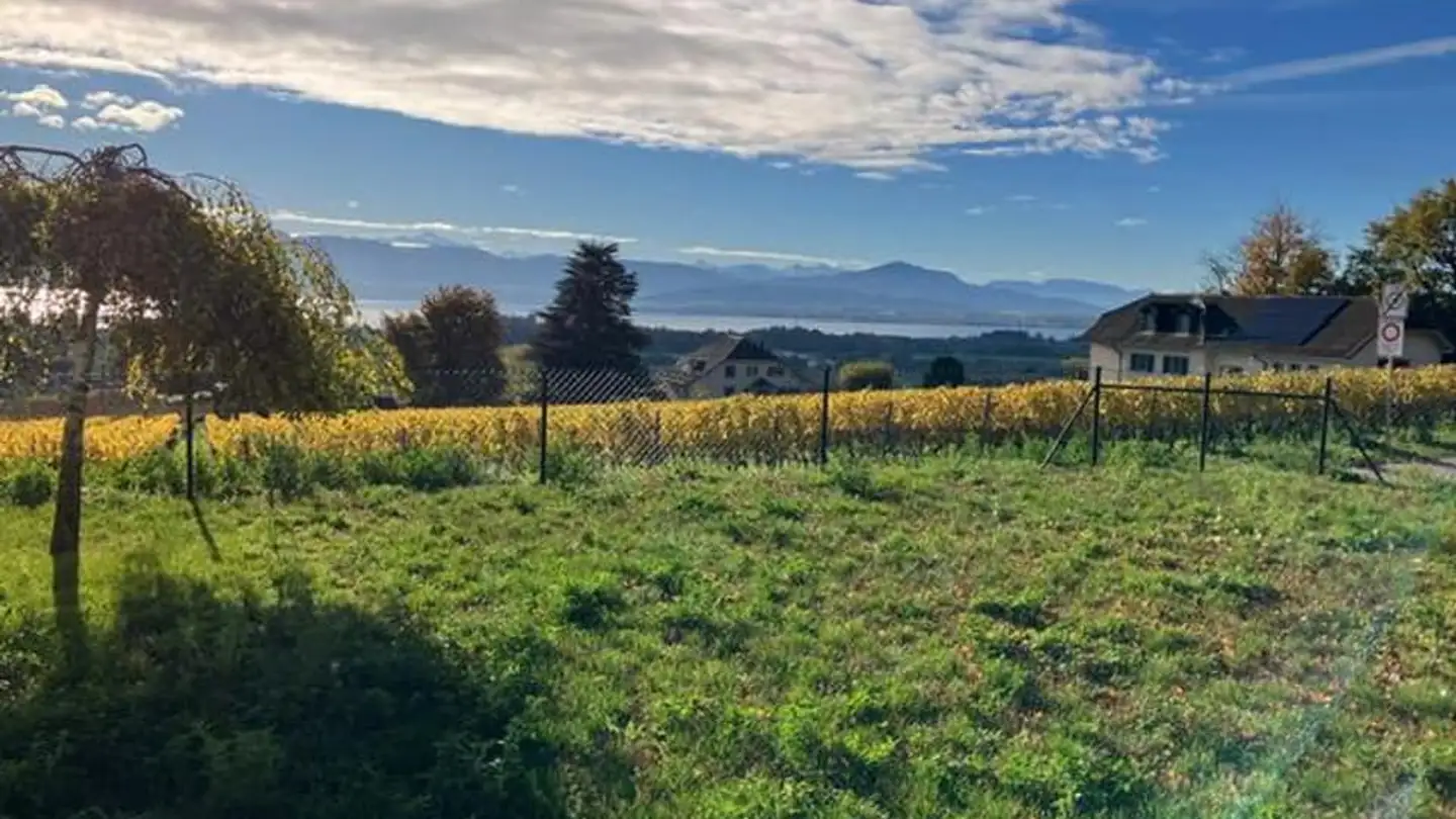 Casa singola in affitto - Chemin Vers Saint-Vincent 18, 1182 Gilly - Photo 2