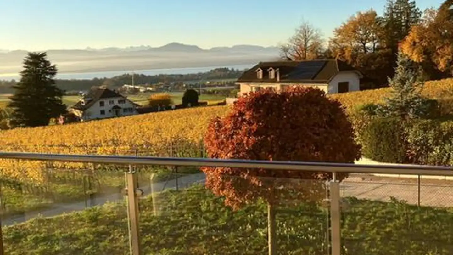 Casa singola in affitto - Chemin Vers Saint-Vincent 18, 1182 Gilly - Photo 4