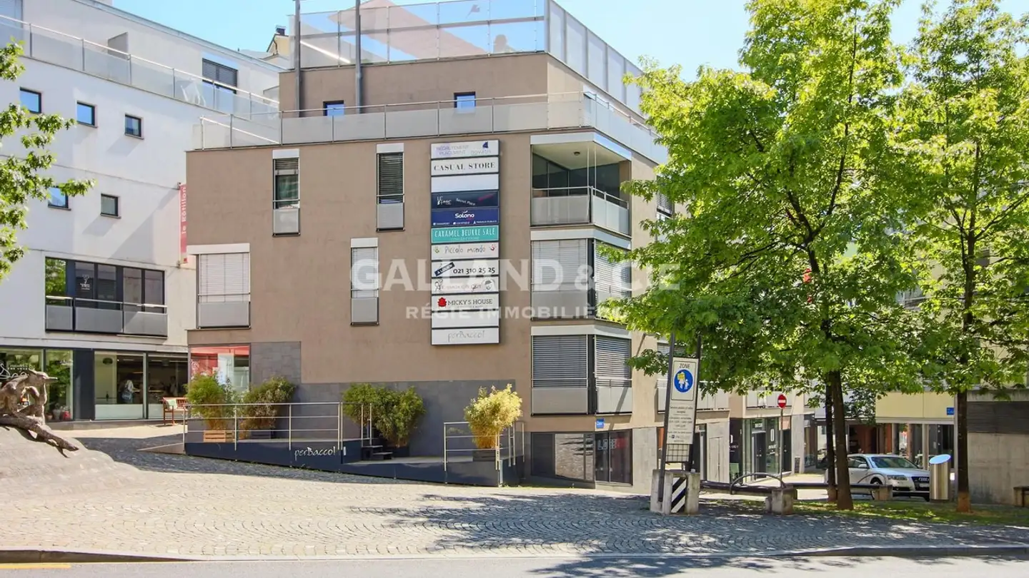 Duplex for rent - Avenue Jean-Jacques Mercier 12, 1003 Lausanne