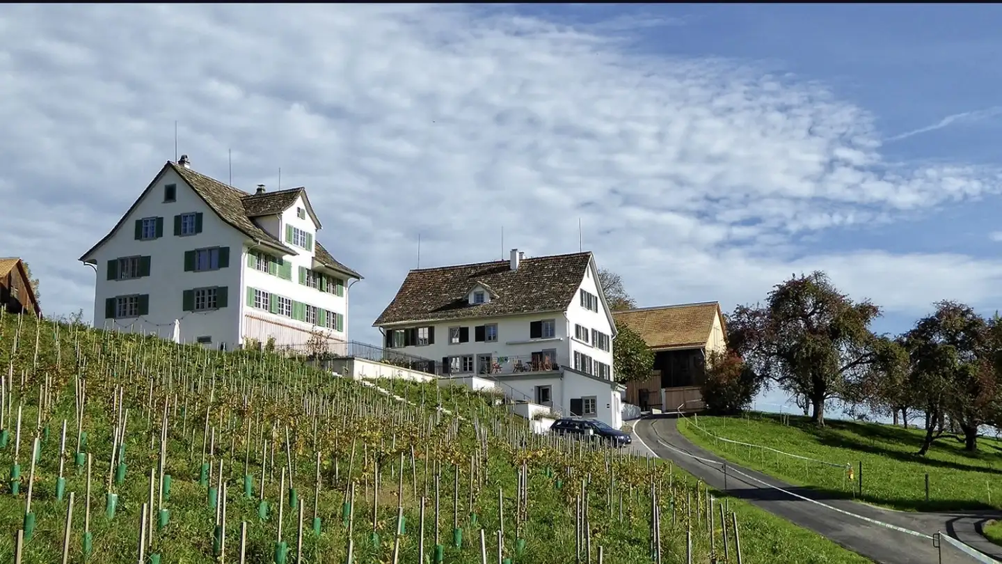 Wohnung mieten - 8634 Hombrechtikon - Foto 3