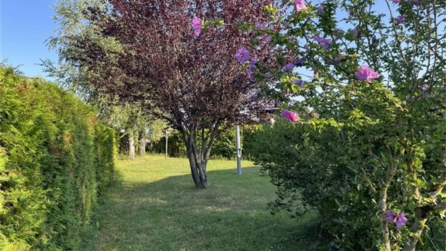 Bureau à vendre - 1544 Gletterens