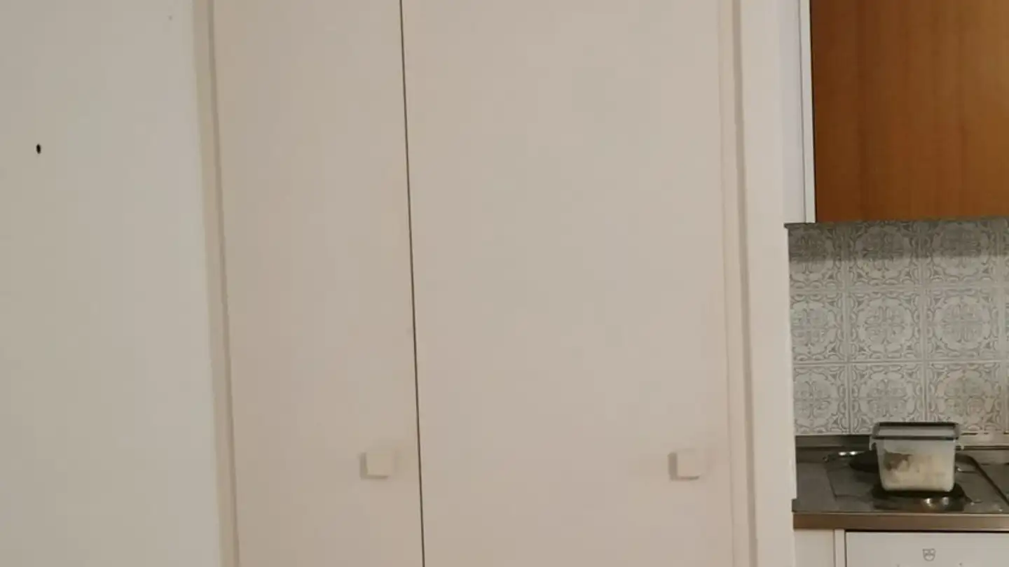 Apartment for rent - Ackersteinstrasse, 8049 Zürich - Photo 2