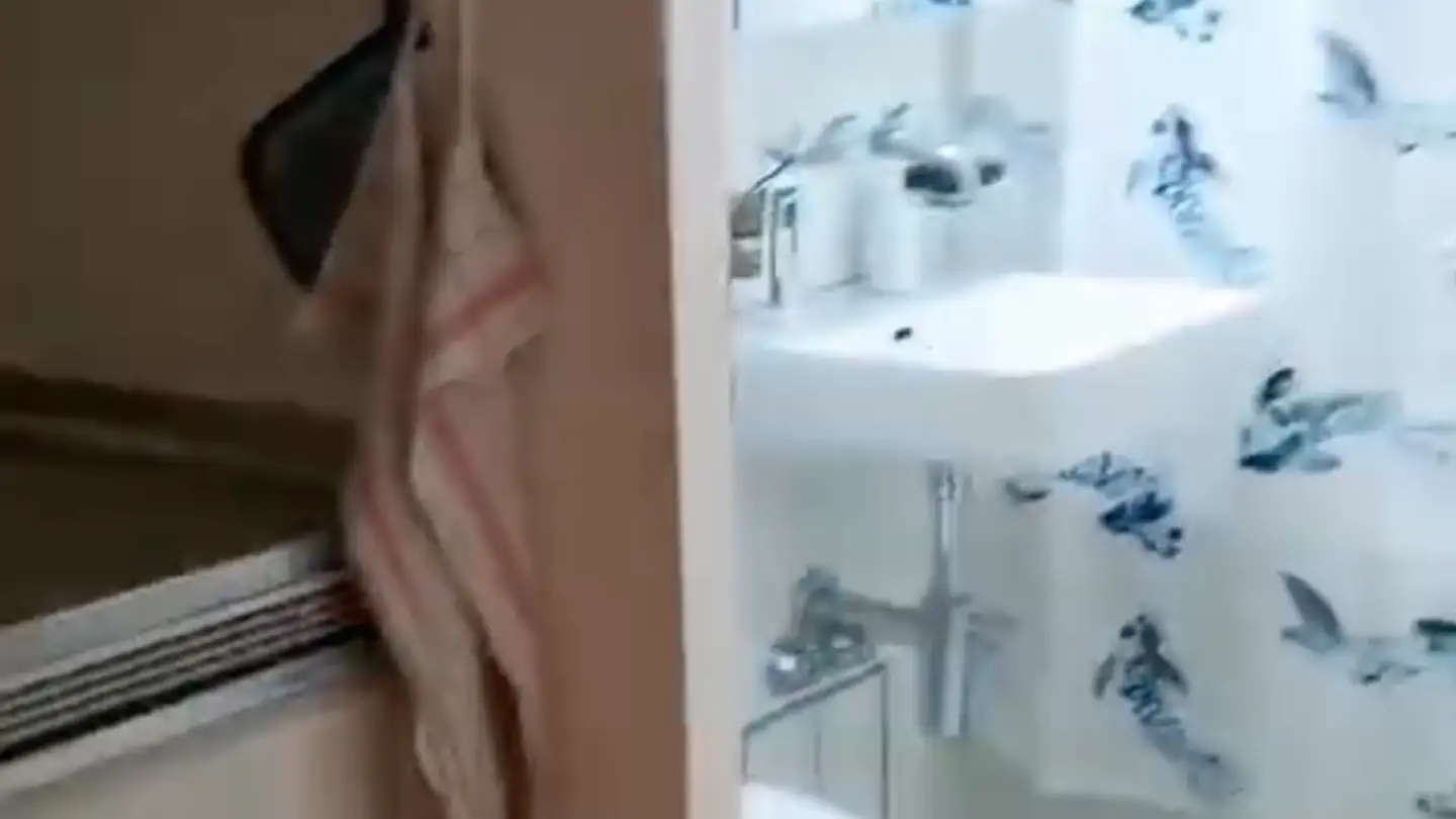 Apartment for rent - Ackersteinstrasse, 8049 Zürich - Photo 4