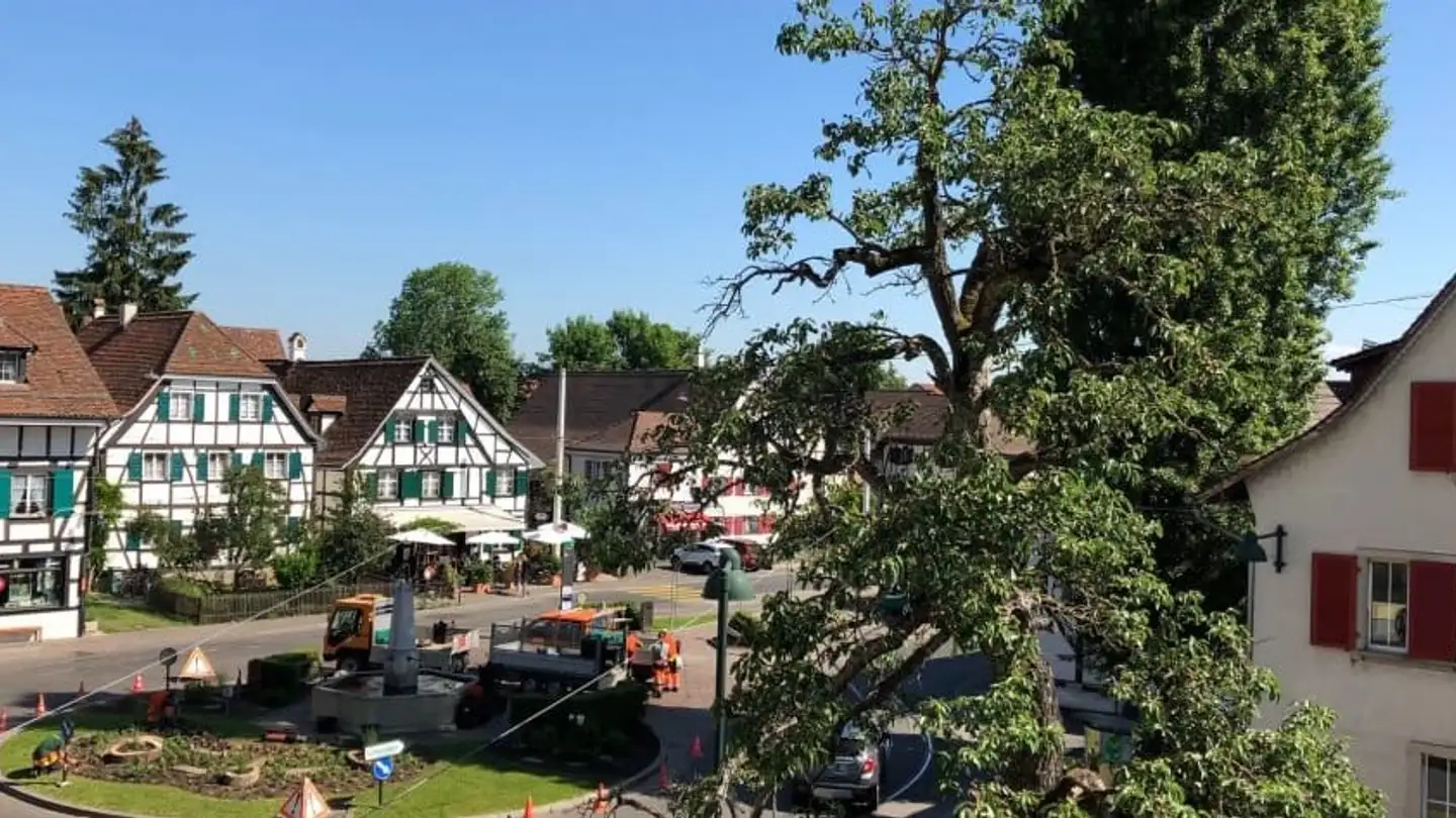 Penthouse for rent - Oberwilerstrasse 2, 4123 Allschwil