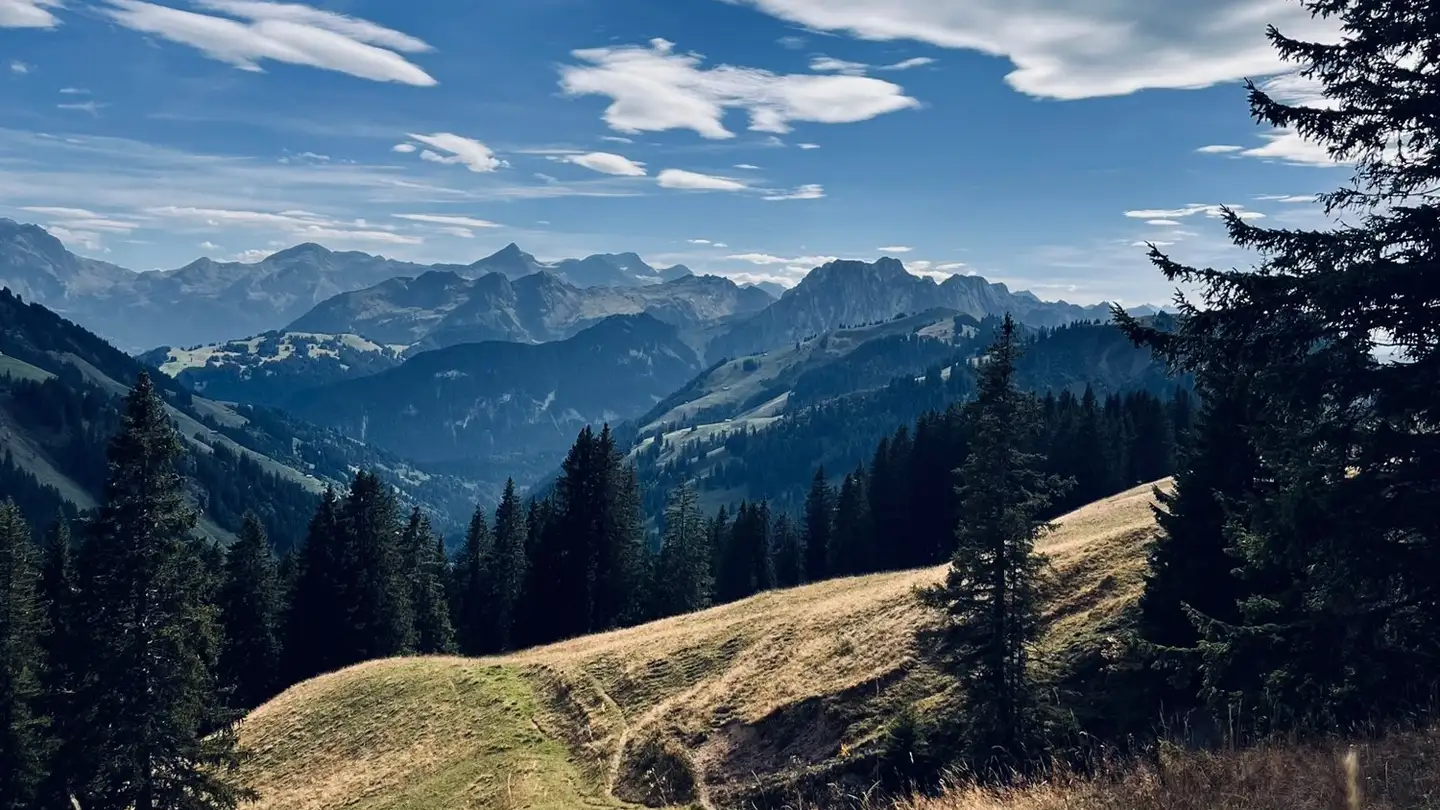 Appartamento in affitto - 1630 Bulle