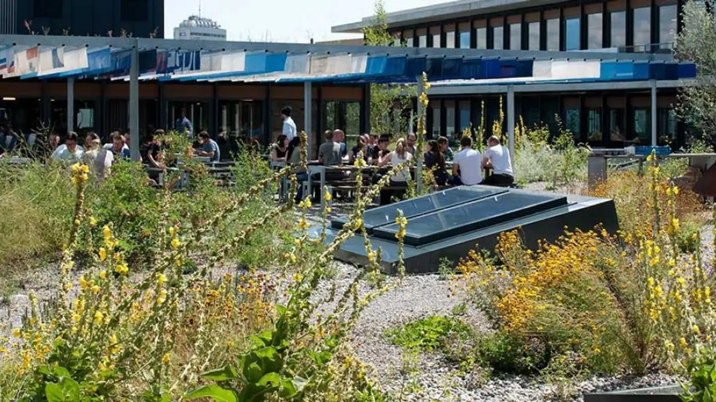 Spazio ufficio in affitto - Binzmühlestrasse 170b, 8050 Zürich - Foto 2