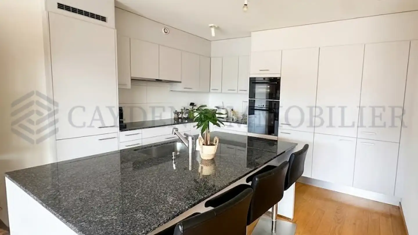 Appartamento in vendita - 1227 Carouge GE