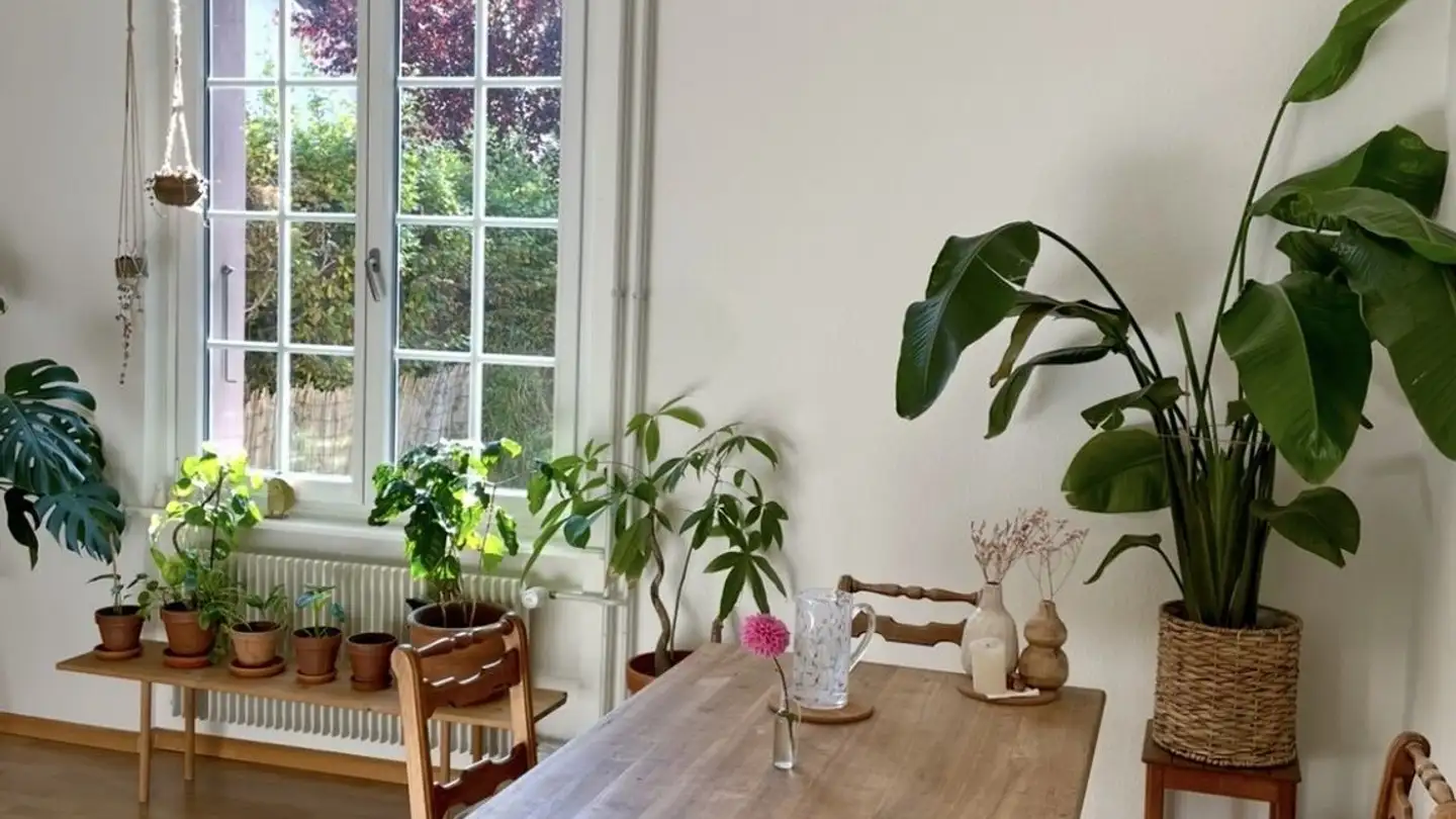 Apartment for rent - Alleeweg 6, 3006 Bern - Photo 2