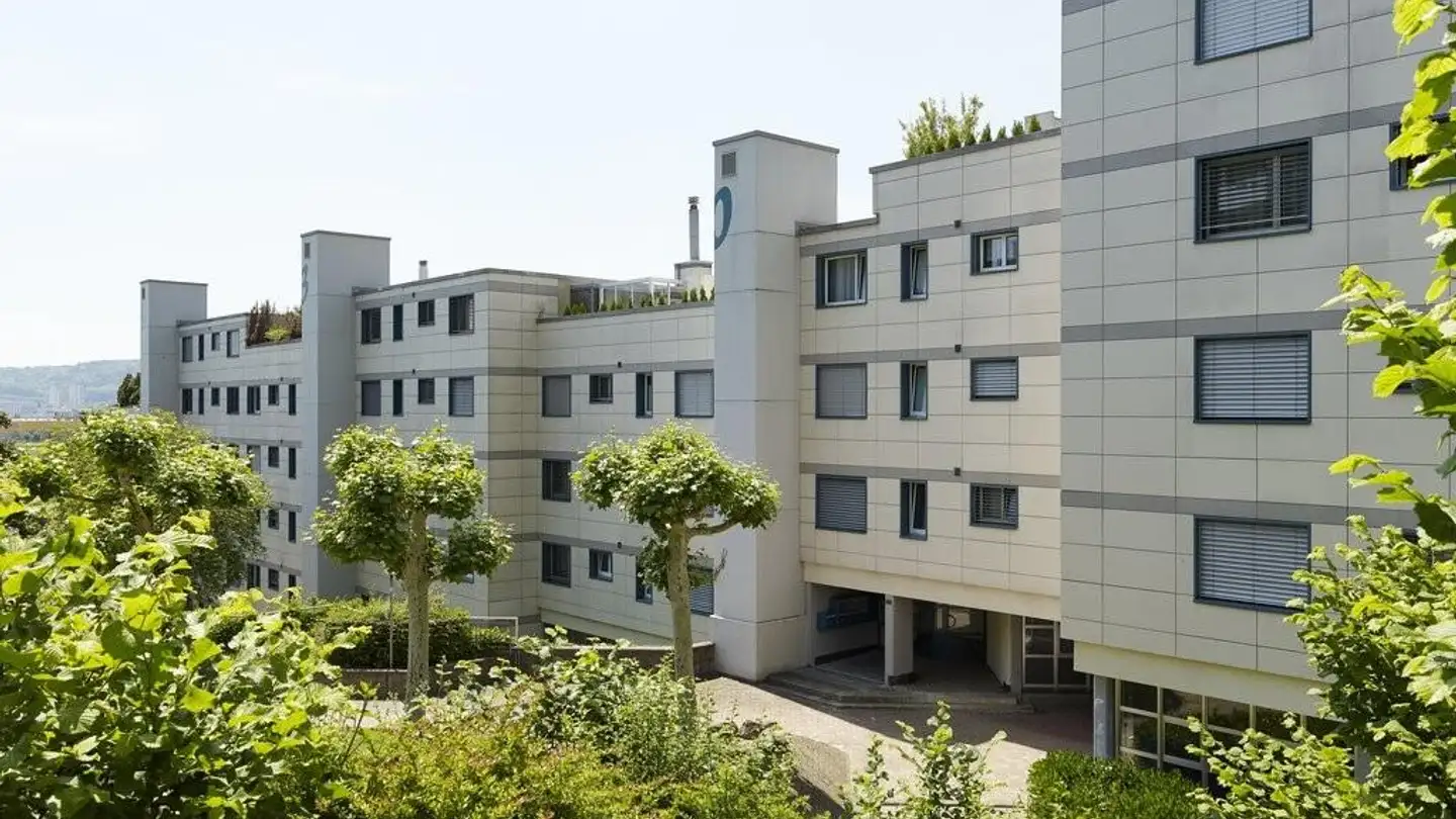 Wohnung mieten - Steinstrasse 56, 8106 Adlikon b. Regensdorf