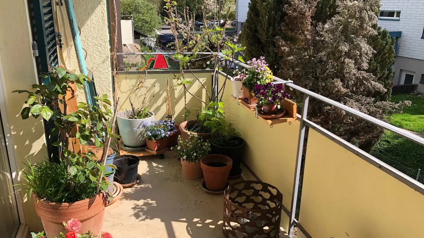 Appartamento in affitto - 8280 Kreuzlingen