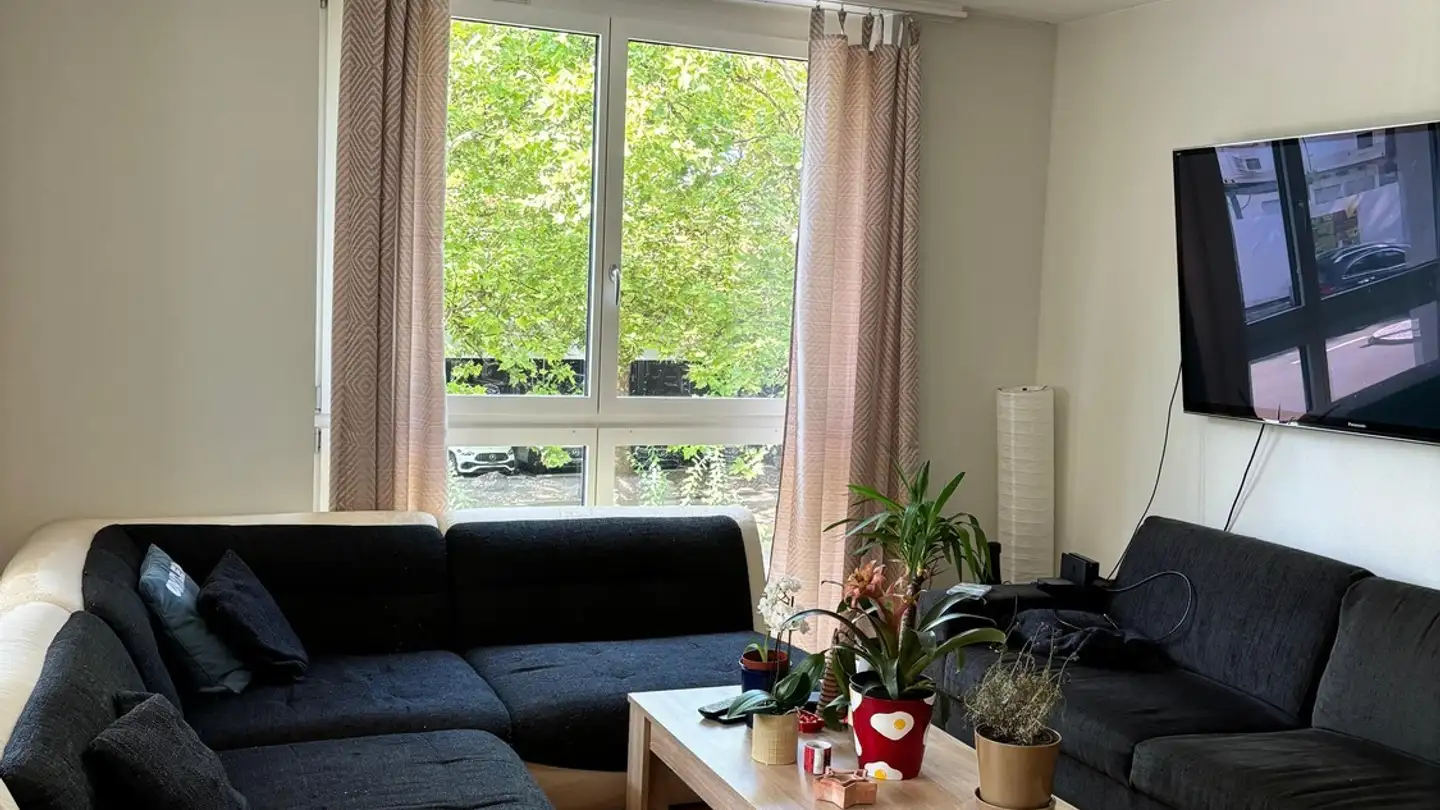 Chambre à louer - Genossenschaftsstrasse 18, 8050 Zürich - Photo 2