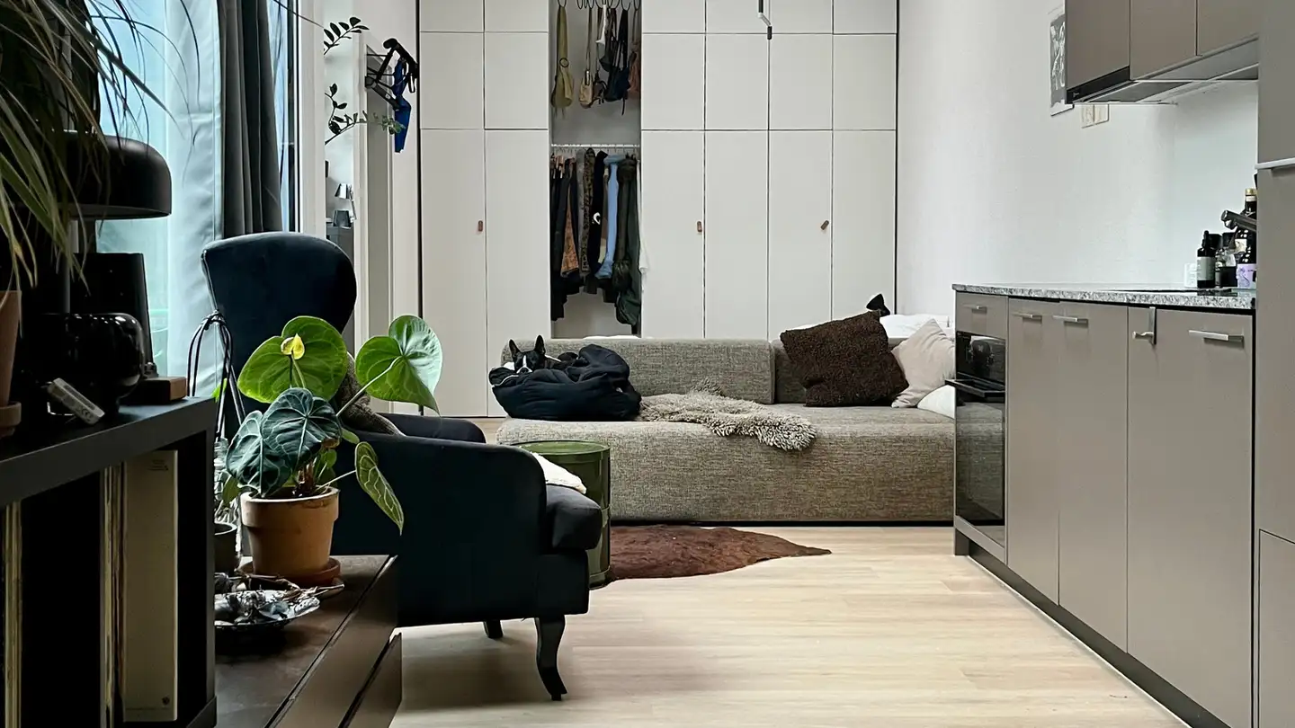 Furnished apartment for rent - 4054 Basel