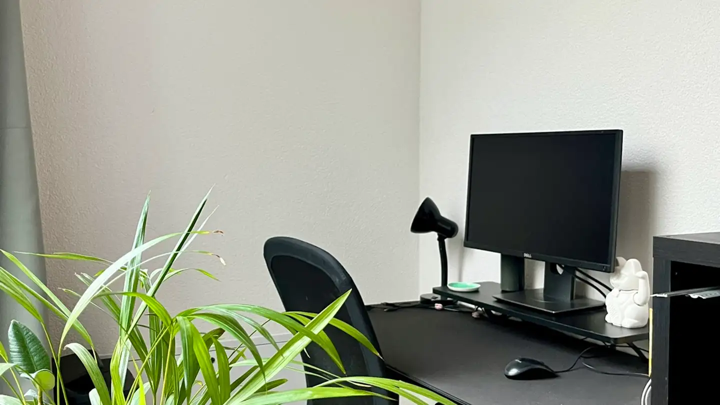 Furnished apartment for rent - 4054 Basel - Photo 3