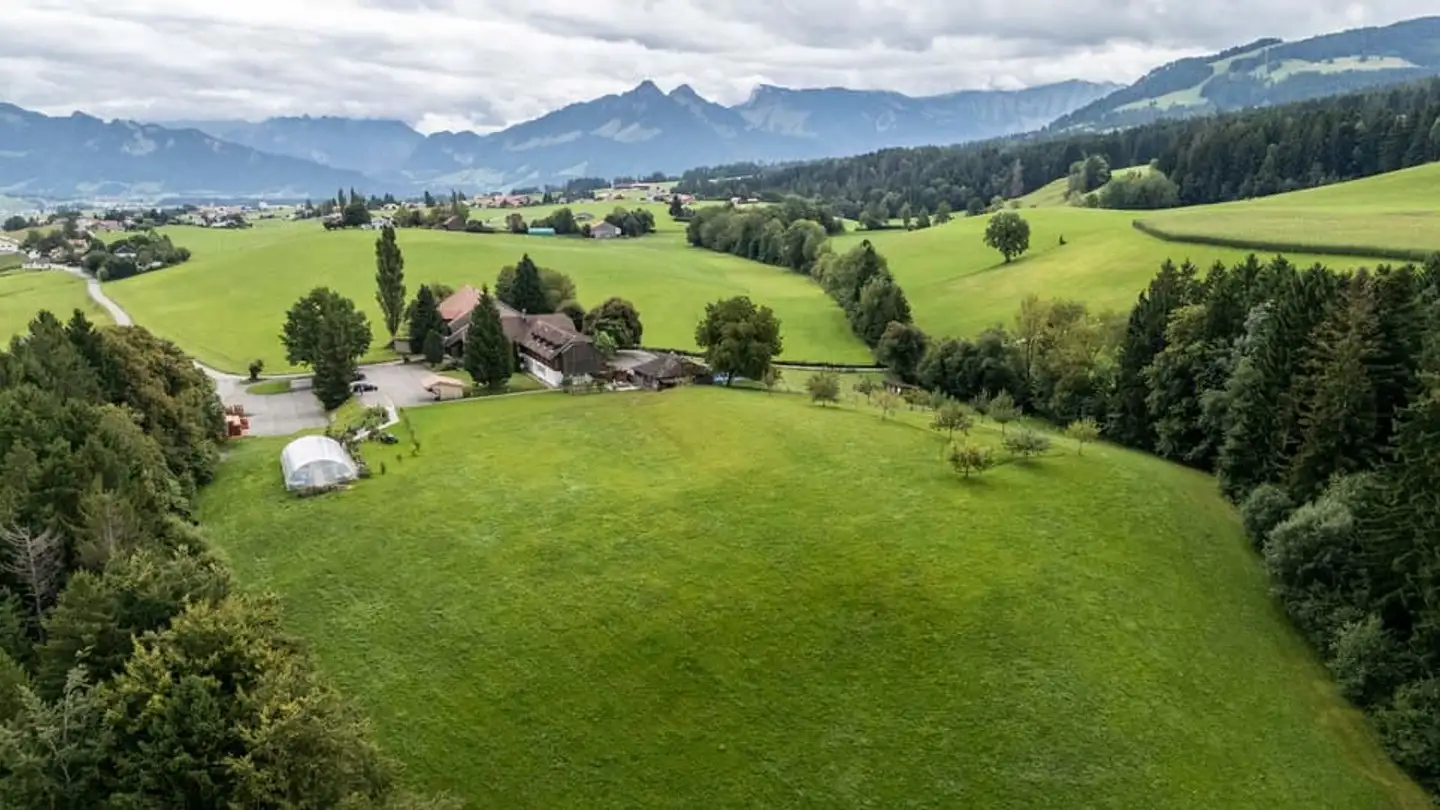 Commerciale in vendita - 1628 Vuadens - Photo 3