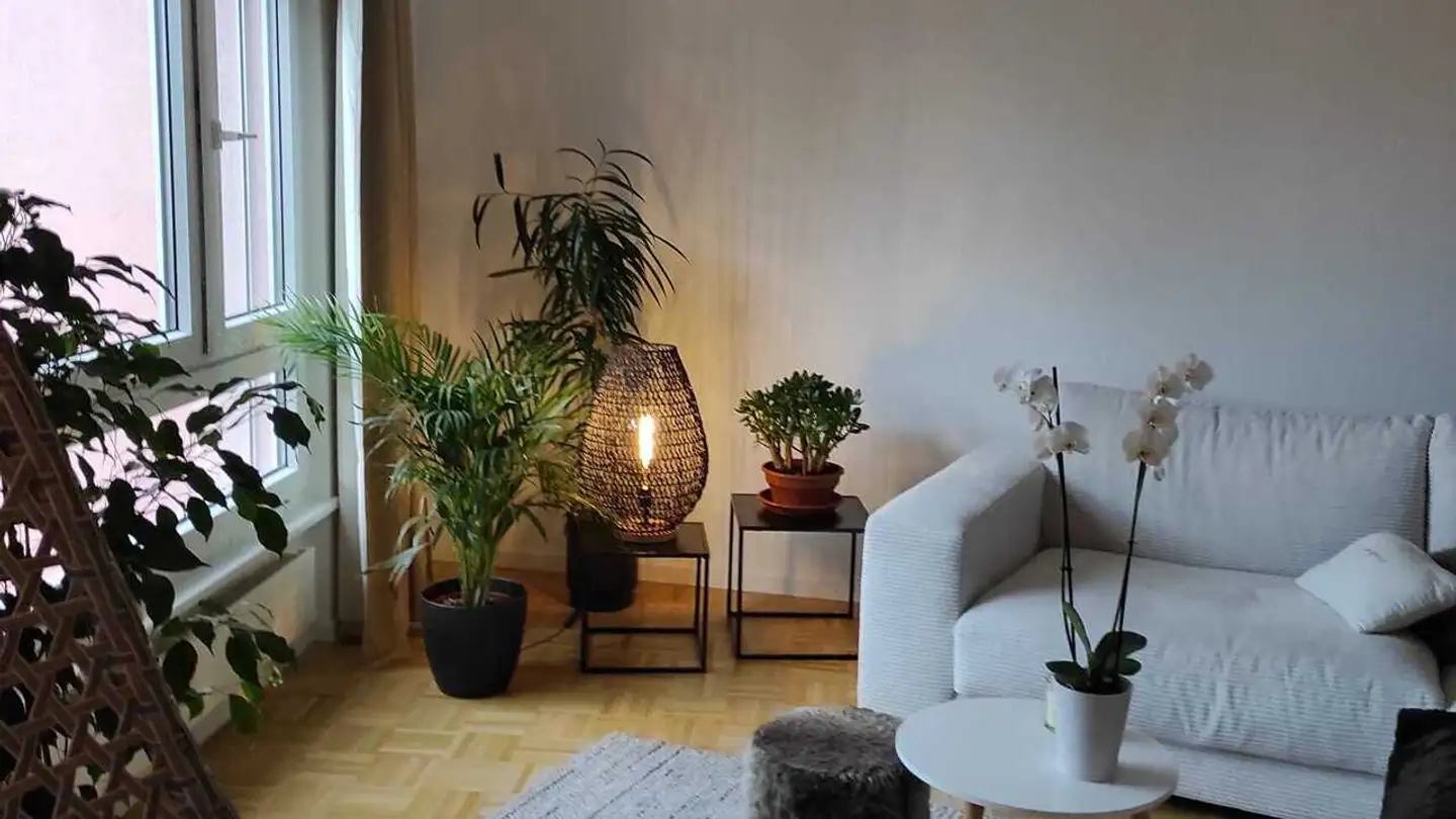 Appartamento in affitto - Route En Champ Didon, 1740 Neyruz FR - Foto 4