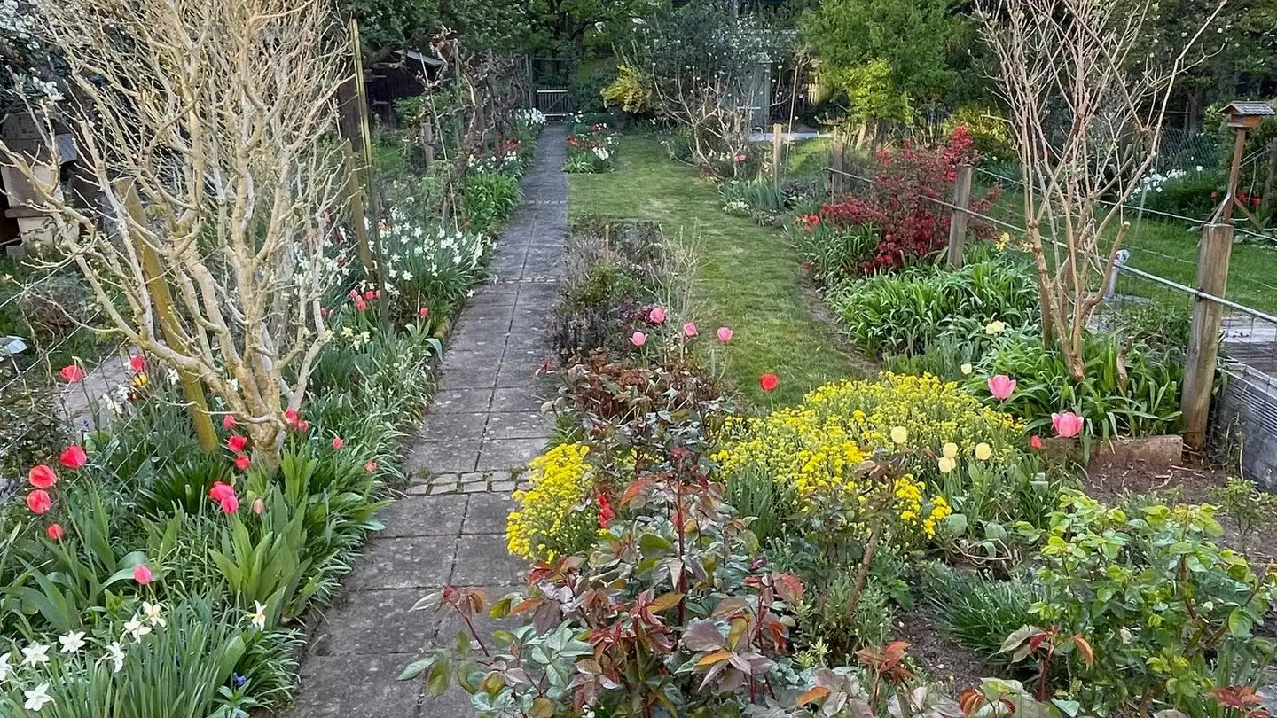 Reihenhaus mieten - Niederholzstrasse, 4125 Riehen - Foto 3