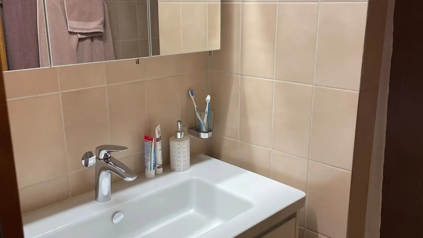 Studio mieten - Haldenstrasse 99, 8105 Watt - Foto 4